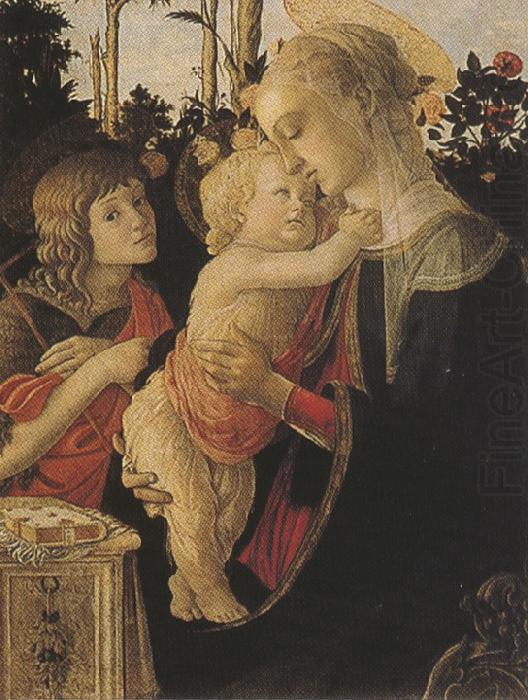 Madonna of the Rose Garden or Madonna and Child with St john the Baptist (mk36), Sandro Botticelli